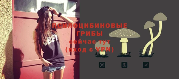 ALPHA PVP Ростов