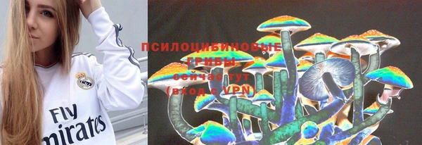 герыч Сатка